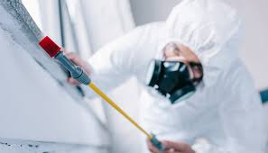 Best Residential Pest Control  in Boston, GA